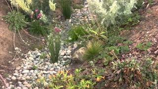 Swale amp Rain Garden How To [upl. by Herb]