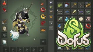 PVP lvl 20 sur les nouveaux serveurs DOFUS 3 [upl. by Lashond444]