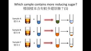 SBA DSE Bio Glucose test strip Clinistix Paper 尿糖試紙 Iodine test 碘液測試 Benedict’s test 本立德測試 [upl. by Orazio145]