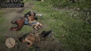 Red Dead Redemption 2  Lasso guide [upl. by Norling]