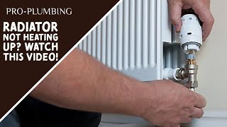 Fix Your Radiator In Minutes Without Paying A Plumber [upl. by Nnylarak]