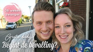 Vlog 96 36 weken zwanger  Is de bevalling begonnen 🙉 [upl. by Aihsein]