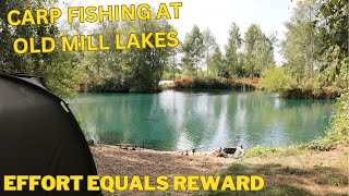 CARP FISHING AT OLD MILL LAKES carpfishing2024 carp carpfishing [upl. by Ettenotna268]