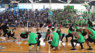 Dreyfoos Sophomore Pep Rally Dance 2016 [upl. by Eiramlehcar]