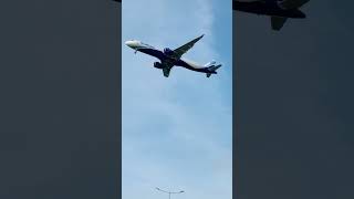 Indigo flight viralvideo indigo flightreacts flightattendant flight youtubeshorts ytshorts [upl. by Rockwell]