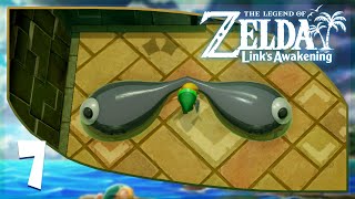 The Legend of Zelda Links Awakening Walkthrough 110  Part 7 4K60FPS [upl. by Seaver]