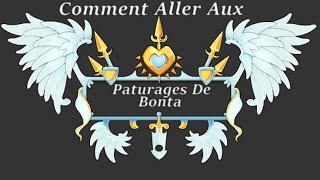 Dofus  Comment aller au pâturage de Bonta [upl. by Nrol]