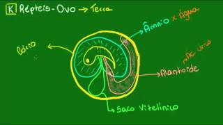 O ovo dos Répteis  Vertebrados  Biologia [upl. by Shewmaker]