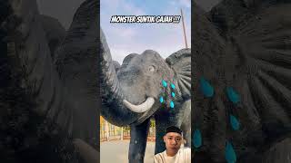 Monster suntik gajah funny comedy explore faktakucing facts elephant [upl. by Woodsum]