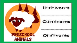 Herbivore Carnivore Omnivore Animals [upl. by Staw]