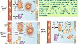 Immunosuppression SOT  Prof Youssef Mosaad [upl. by Vieva869]