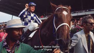 Secretariats Legendary Triple Crown Victory Relive the 1973 Belmont Stakes [upl. by Yahc]