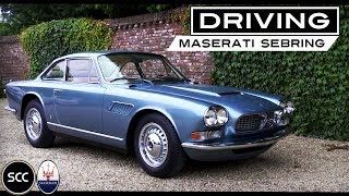 MASERATI SEBRING 35 GTI Injection 1965  Test drive in top gear  Engine sound  SCC TV [upl. by Durstin]