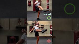 How To Properly Perform a Low Kick  Beginners Guide to Kickboxing by a world Champion [upl. by Spracklen988]