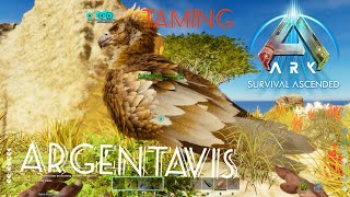 Argentavis taming in ark survival ascended without a trap [upl. by Lyndell]