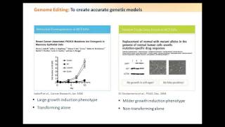 Using cell based assays in the development of efficacious cancer therapies [upl. by Poppas917]