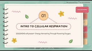 Aerobic amp Anaerobic Respiration Presentation Batch2G11 New Room9 [upl. by Shermie]