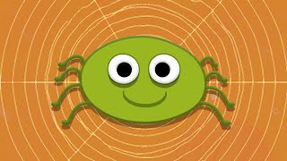 ITSY BITSY SPIDER  Song for Children  Bay Mırmır [upl. by Pierette839]