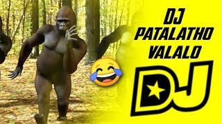 Dj Paatalatho Valalo  Gorilla version  Techy CrooKz  Dj Songs Telugu  2020 [upl. by Onaicul]