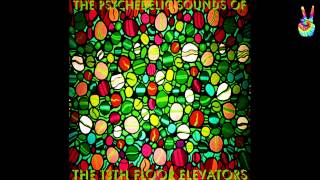 The 13th Floor Elevators  06  Reverberation by EarpJohn [upl. by Tam62]