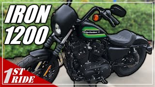 2021 Sportster Iron 1200 Review and Test Ride The Last Evo Iron 😣 [upl. by Ruhtua841]