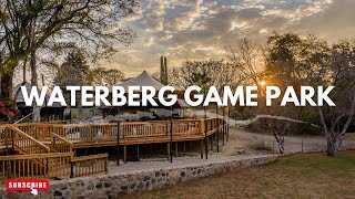 Discover Waterberg Game Park Where Nature Meets Adventure [upl. by Yentruok771]