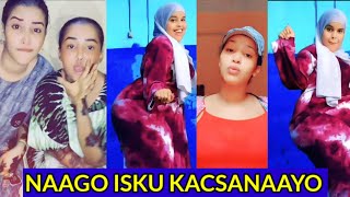 NIIKO IYO JAAM SIIGO WASMO DABO MACAAM  SOMALI TIKTOK 2022 [upl. by Cherilynn171]