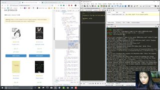 Python Example Tutorial Web Scraping with BeautifulSoup and Requests [upl. by Furgeson129]