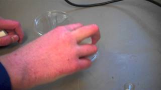 Testing for Coliform Bacteria in Streams [upl. by Phaedra387]