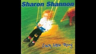 Sharon Shannon feat Kirsty MacColl  Libertango Audio Stream [upl. by Nirrak504]