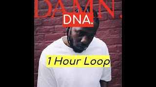 Kendrick Lamar  DNA 1 HOUR [upl. by Ari]