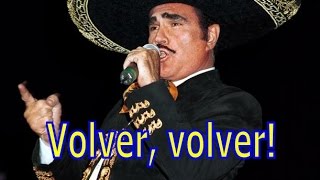 Volver Volver Vicente Fernandez House remix [upl. by Adala]