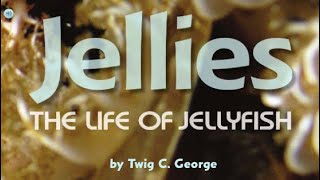 JELLIES THE LIFE OF JELLYFISH Journeys AR Read Aloud Second Grade Lesson 10 [upl. by Fulmer894]