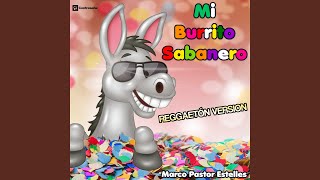 Mi Burrito Sabanero Reggeton Mix [upl. by Rossy228]