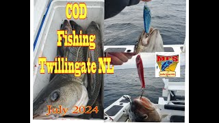 Cod Fishing out of Twillingate July 2023 [upl. by Akiria248]