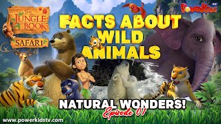 NATURAL WONDERS 1  FACTS ABOUT WILD ANIMAL  Jungle Book Safari  Planet Animal  Animal Kingdom [upl. by Ecitsuj]