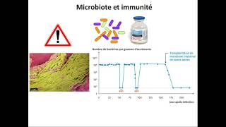 SVT 2nde  42 microbiote digestion et immunité 24 [upl. by Chaille]