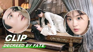 Clip Ting Xiao Protects Rong Er From Being Found  Decreed by Fate EP04  千金难逃  iQiyi [upl. by Schroth882]