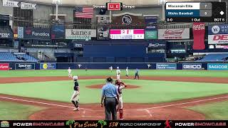 Wisconsin Elite vs Sticks Baseball  ProSeries [upl. by Bartley]