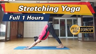 Full 1Hour Stretching Yoga For Beginner  Basic Yoga Based On Vinyasa Flow  Yograja [upl. by Avilys]