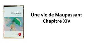 14 Une vie de Maupassant Chapitre 14 Livre audio [upl. by Onaivatco108]