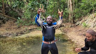 spearfishing turn into spear mud crab 🦀 clean and cook before hurricane Beryl [upl. by Arikaahs650]