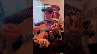 need 2 by pinegrove cover featuring my cute puppy midwesemo poppunk viralsound ya like jazz hi [upl. by Ijok]