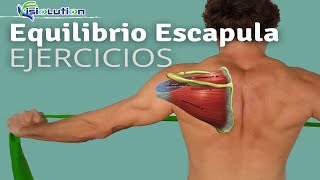 EQUILIBRIO ESCAPULA  HOMBRO EJERCICIOS para evitar DOLOR  Fisiolution [upl. by Vani197]