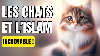 VOICI POURQUOI TU DEVRAIS ADOPTER UN CHAT [upl. by Jarrow]