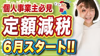 【定額減税】個人事業主はいつから？所得税が◯◯円によって時期が違うので要注意！ [upl. by Herra]