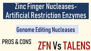 Zinc Finger Nucelases  Genome editing nucleases II ZFN Vs TALENS [upl. by Rickard83]