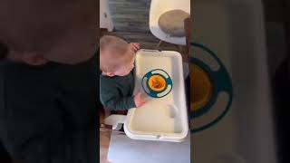 GYRO BOWL Test Childrens nonspillable plate  and FAIL For BabiesToddlers [upl. by Vinny621]