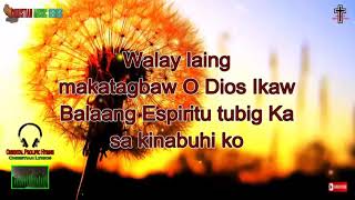 Bisaya Christian Songs With Lyrics Non Stop Volume 4 [upl. by Jarlen781]