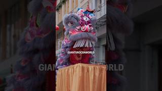 2024 Traditional Lion Dance Performance  World Dragon and Lion Dance Extravaganza 世界龍獅日 [upl. by Ilowell794]